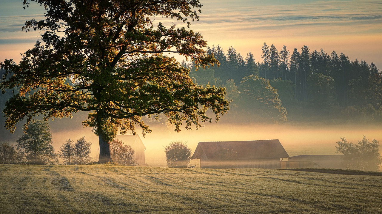 A homestead farm enveloped in fog